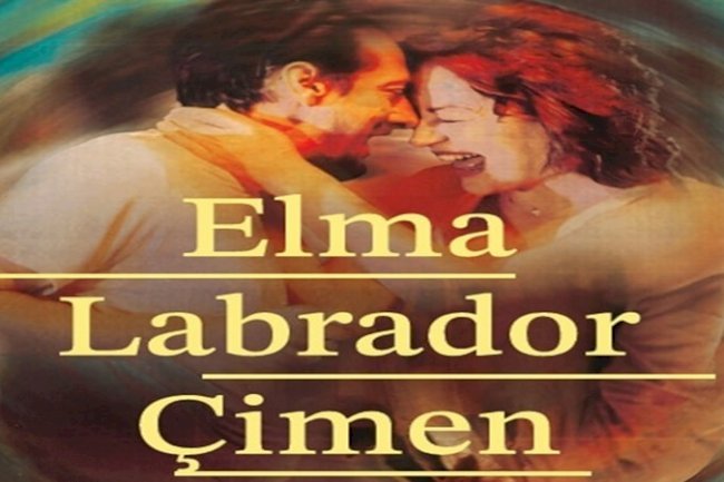 Elma Labrador Çimen Seyirciden Tam Not Aldı