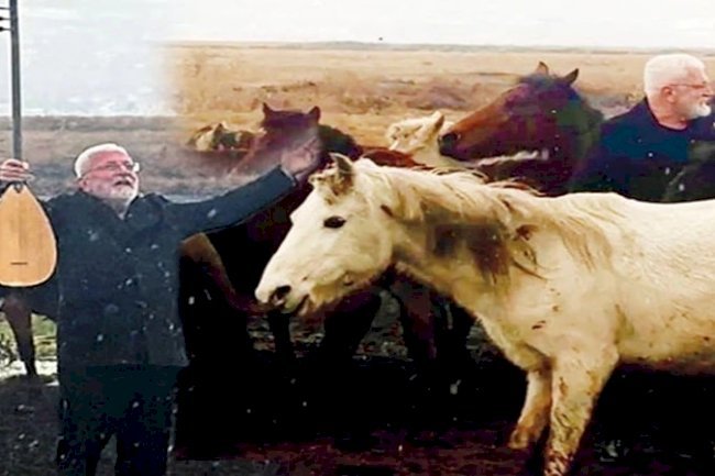 Az kalsın nalları dikiyordum