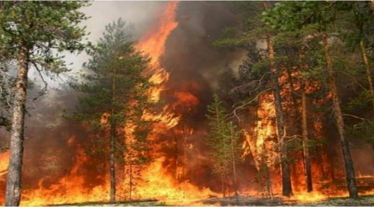 Uzayan yangın sezonu doğa ile beraber solunum sağlığımızı da tehdit ediyor 