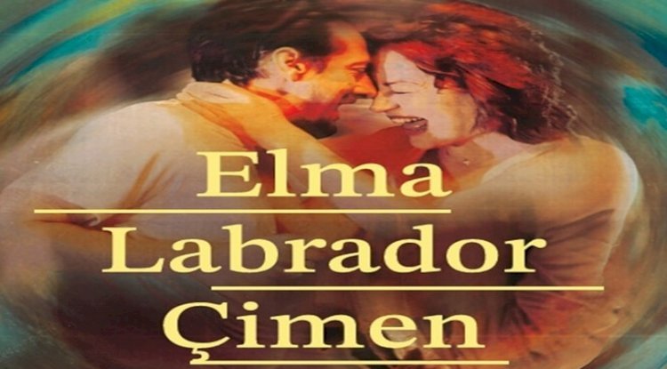 Elma Labrador Çimen Seyirciden Tam Not Aldı